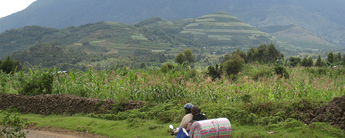Gorilla Tracking Rwanda