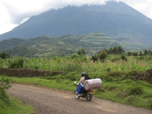 Gorilla Tracking Rwanda