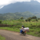 Gorilla Tracking Rwanda