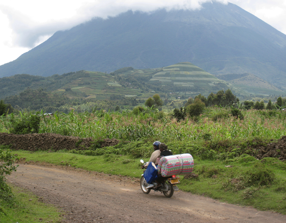 Gorilla Tracking Rwanda