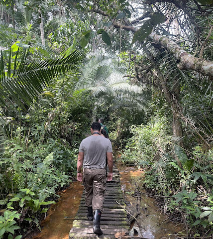 Bigodi swamp walk