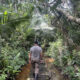 Bigodi swamp walk