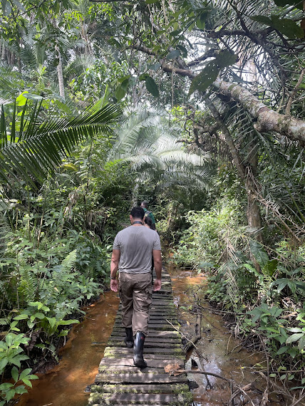 Bigodi swamp walk